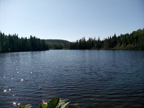 Un superbe trésor bien caché ! Terrain de plus de 973,000 pc entourant le Lac Chouette de près de 7 acres. Un oasis de paix en pleine nature. Et oui, enfin votre espace de jeux idéal pour la chasse, pêche et sentiers de VTT/motoneige. Notez qu'un che...