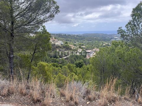 Terrains Résidentiels de 7716 m² avec Vue Mer et Naturelle à Altea Costa Blanca Grand terrain résidentiel situé à Altea, une ville pittoresque située sur la Costa Blanca dans la province d'Alicante, en Espagne. Connue pour sa charmante vieille ville,...