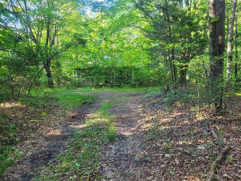 Close to town, close to school. Also a well and septic. Come and see this nice wooded lot