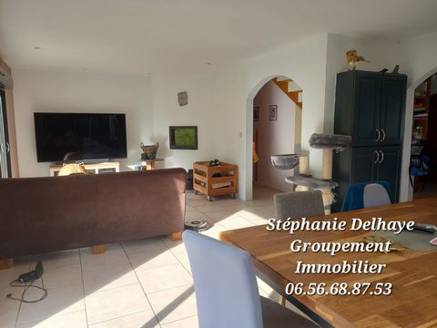 photo no. 10