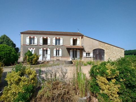 photo no. 12