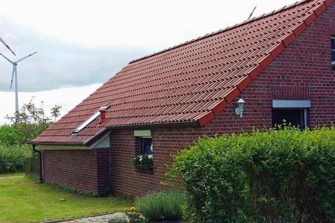 Frisian house with a view of the fields, in a quiet location, ideal for 2 families, with garden/terrace, space for 7 guests.