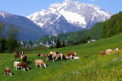 Die Wohnung befindet sich im 1. Stock, hat 2 Schlafzimmer, Wohnküche, Dusche/WC und einen sehr großen Überdachten Balkon mit Eckbank und Sofa und freien Bergblick .