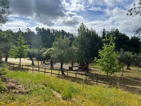 8 hektar skogsmark, intill RONQUEIRA RIVER BEACH, i kommunen Tábua. BELÄGET ÖSTER OM FLODEN ALVA, GRÄNSAR PÅ VISSA STÄLLEN, TILL STRANDEN OCH PICKNICKPARKEN, RONQUEIRA, MOURONHO TÁBUA, COIMBRA.   Features: - Parking - Pool Outdoor