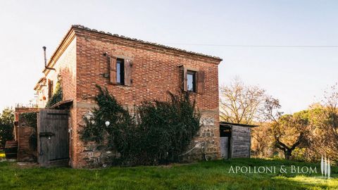 Casale completamente da ristrutturare in vendita nella campagna poliziana, Montepulciano, Siena. A poca distanza dalla cittadina rinomata per la produzione di un eccellente vino, il casale si sviluppa su due livelli, dove al piano terra troviamo, gar...