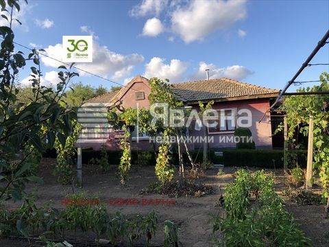 ID:137820 Casa de una planta con una superficie de 150 m² en el pueblo de Vidno, a 18 km de Kavarna. La casa tiene dos entradas, tres dormitorios, cocina con comedor, baño. La propiedad también cuenta con dependencias y un amplio garaje. Patio de 240...