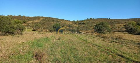 Rustiek land, met 18200 m2 (1,8 ha), gelegen op het terrein van Abrutiais, op slechts 10 minuten van het dorp São Bartolomeu de Messines, ongeveer 15 minuten van Silves, 25 minuten van Albufeira en 40 minuten van de luchthaven van Faro. Dit terrein h...