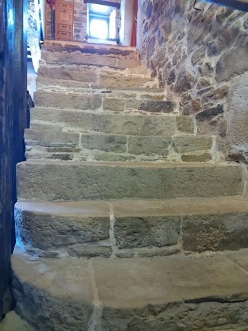 photo no. 13