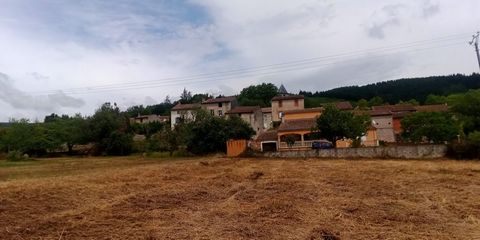 photo no. 7