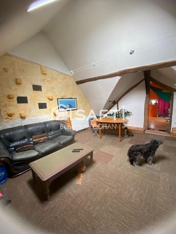 photo no. 13