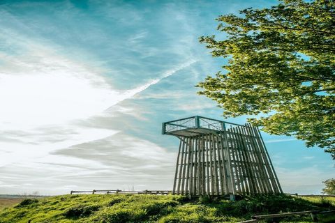 Dit vrijstaande, gelijkvloerse chalet staat op Resort Ruinen, een natuurrijk vakantiepark. Het ligt vlakbij drie nationale parken in Drenthe, met Nationaal Park Dwingelderveld op een steenworp afstand. Ruinen, het kleine dorpscentrum, ligt op ongevee...
