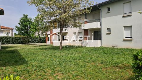 photo no. 9