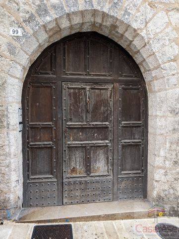 photo no. 13