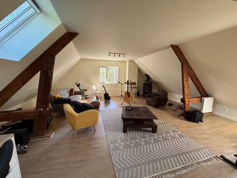 photo no. 12