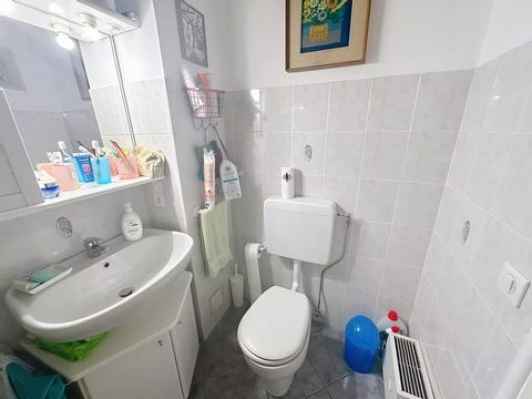 photo no. 14