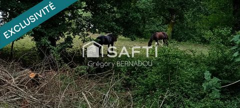 photo no. 14