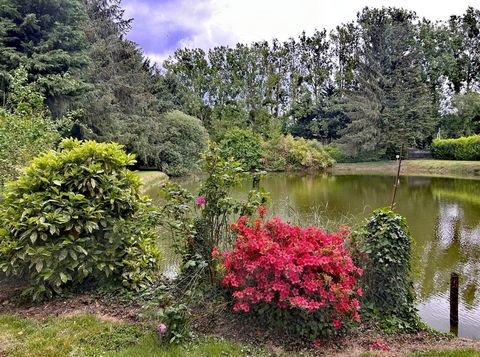 Terrain de loisirs avec un magnifique étang à vendre de 3 500,00 m² CUILLE (53)