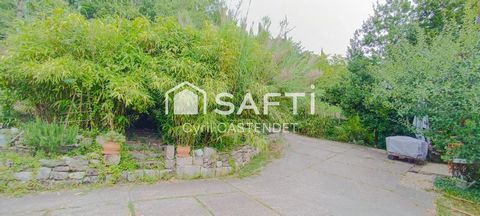 photo no. 12