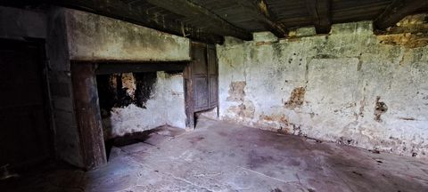 photo no. 7