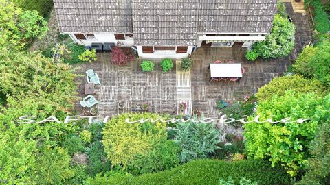 photo no. 17