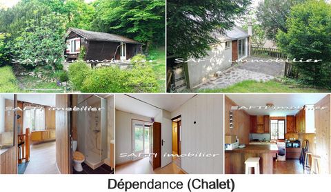 photo no. 19