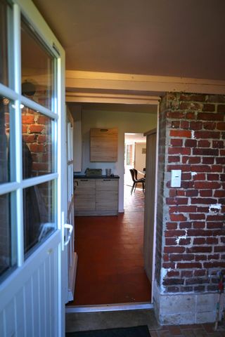 photo no. 4