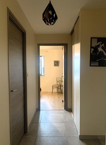 photo no. 12