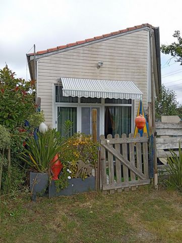 photo no. 7