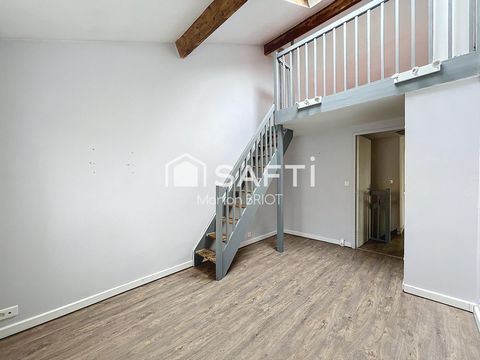 photo no. 10