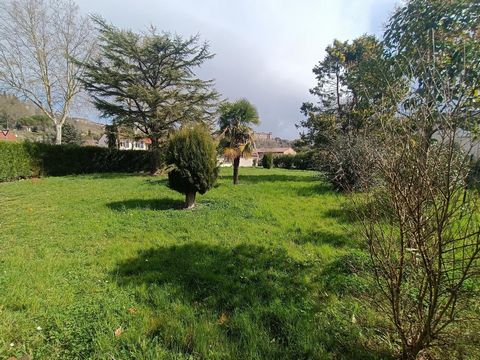 photo no. 2