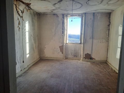 photo no. 11