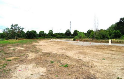 photo no. 5