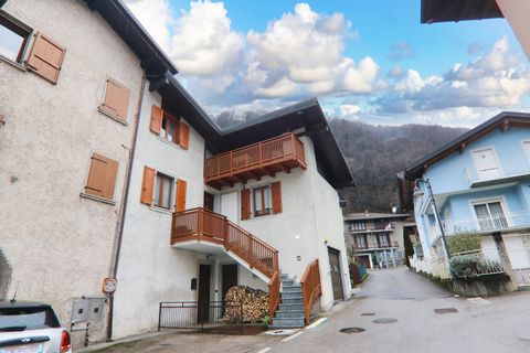 Je m’appelle Achille, je suis un élégant siamois avec une certaine expérience dans les coussins confortables et les fenêtres ensoleillées. Aujourd’hui je vous raconte mon exploration de ma future résidence... une maison toute à nous, ou presque, à Lo...