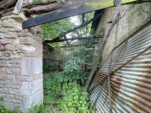 photo no. 4