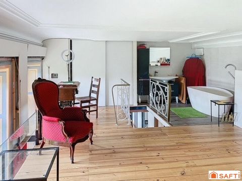photo no. 11