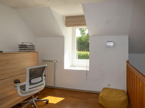 photo no. 9