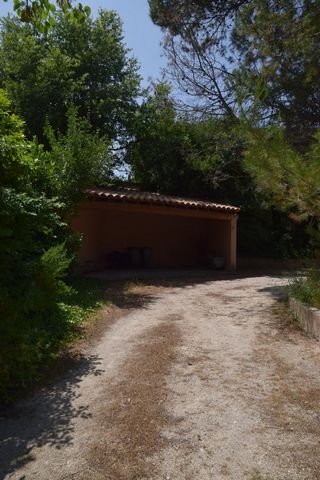 photo no. 6