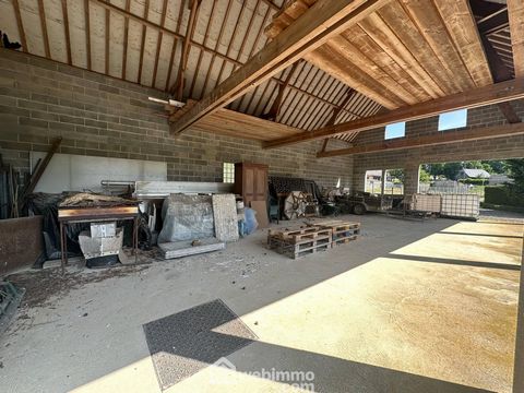 photo no. 6
