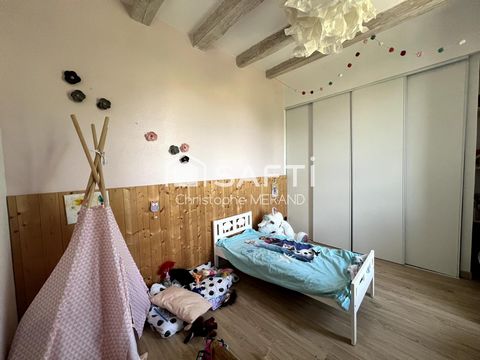 photo no. 11