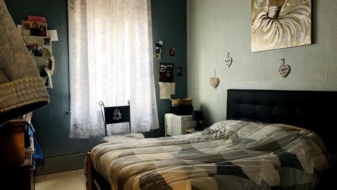 photo no. 7