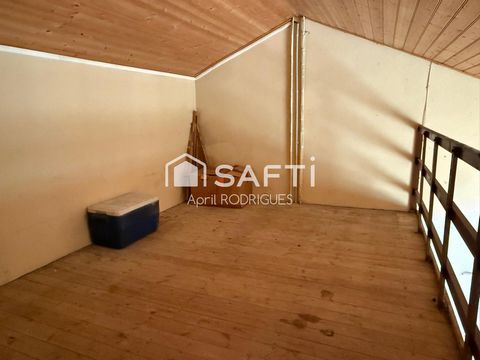 photo no. 12