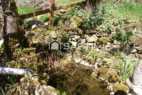 photo no. 13