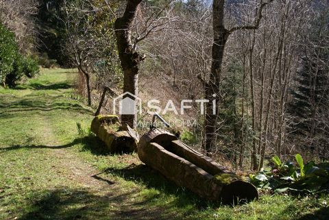 photo no. 16