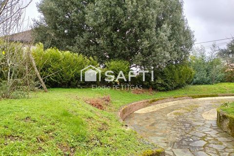 photo no. 2