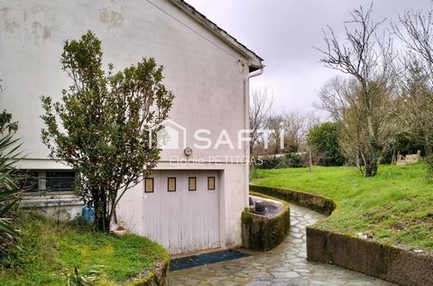 photo no. 13