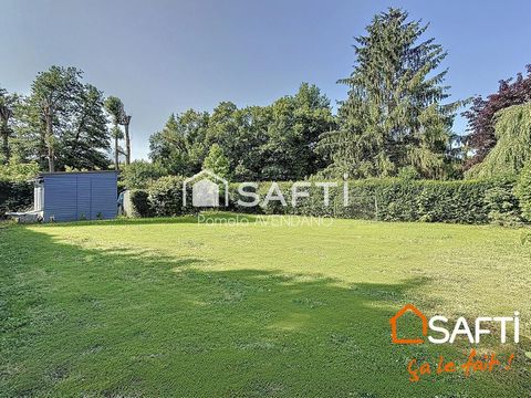 photo no. 11