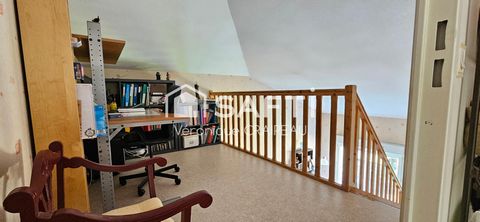 photo no. 3