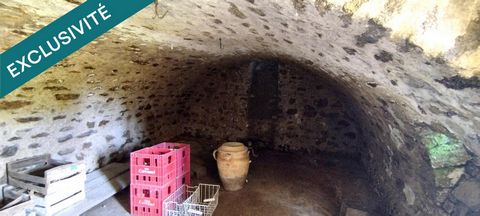 photo no. 16
