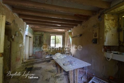 photo no. 2