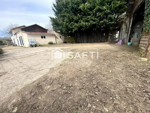 photo no. 13